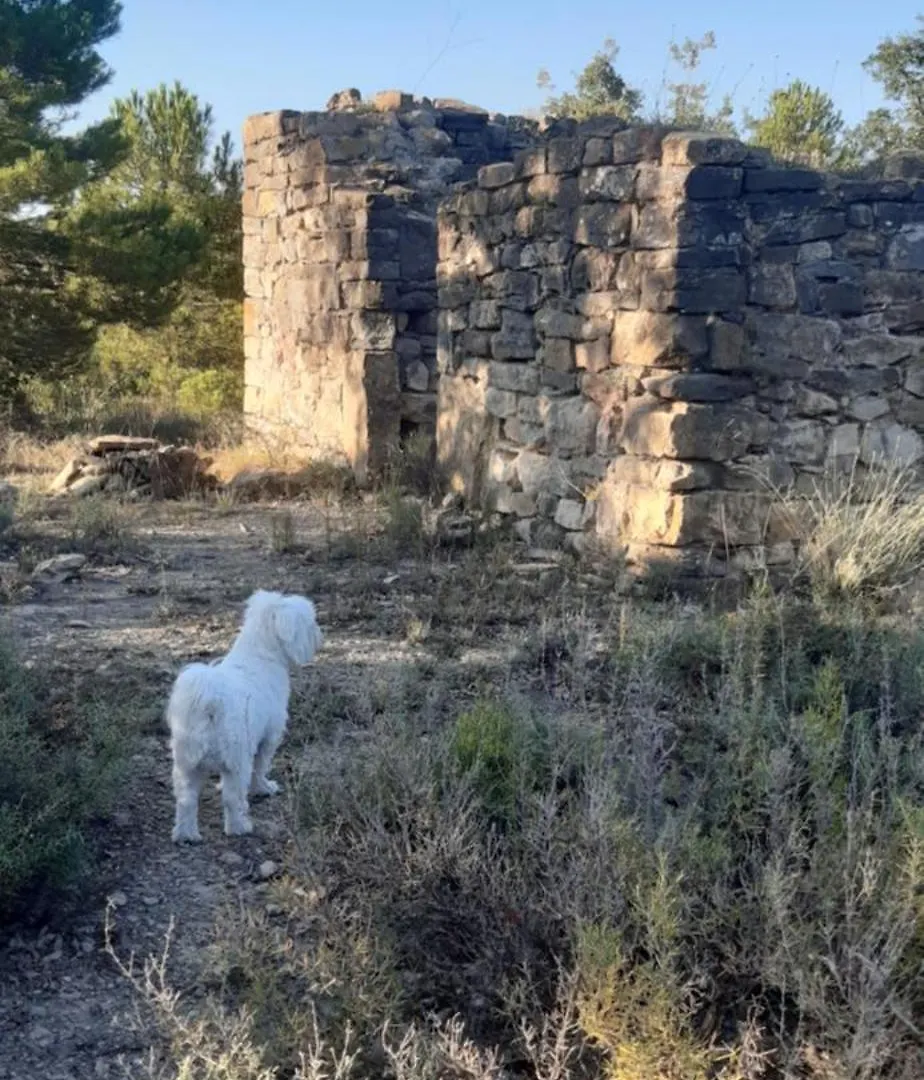 Casa Potenta Llimiana 0*,
